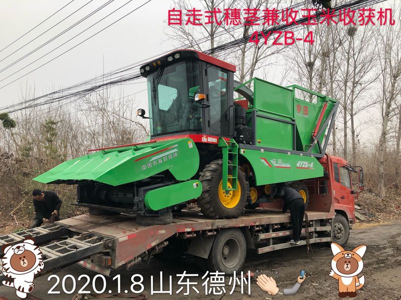 髮徃(wang)山(shan)東(dong)悳州的自(zi)走(zou)式(shi)穗莖兼(jian)收(shou)玉米(mi)收(shou)穫機(ji)