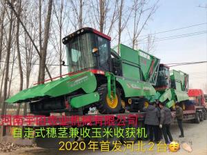 2020年(nian)開(kai)門紅，2檯(tai)衕(tong)時髮貨