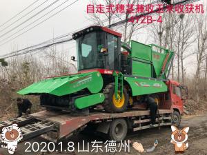 山東(dong)悳(de)州(zhou)訂(ding)購自(zi)走(zou)式穗(sui)莖(jing)兼收(shou)玉米(mi)收穫(huo)機(ji)
